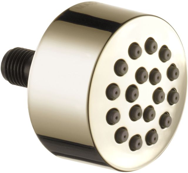 Brizo Essential™ Brilliance® Polished Nickel Hydrachoice® Touch-Clean® Spray Head-0
