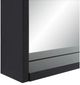 Renwil® Cove Matte Black Accent Mirror-2