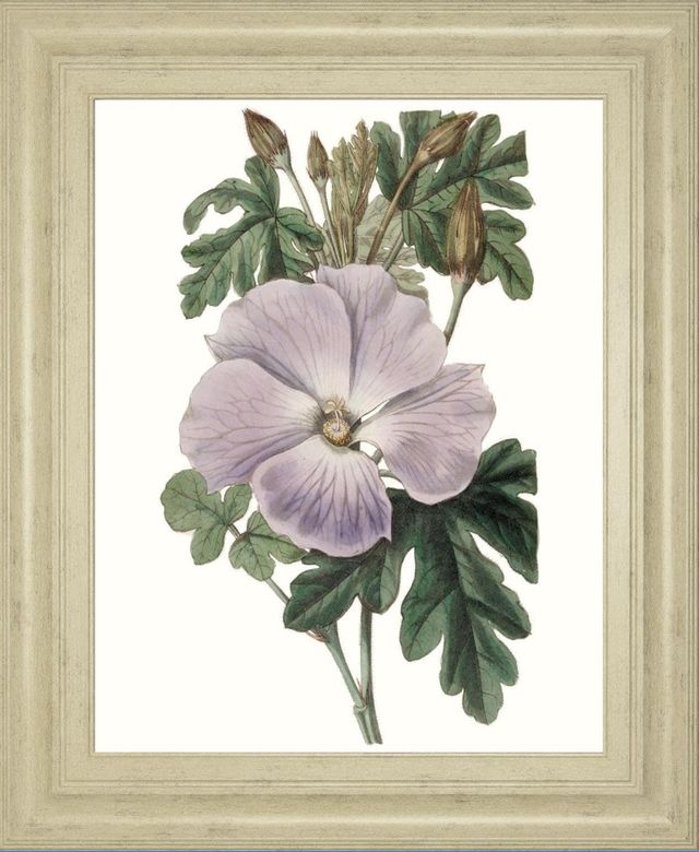 Classy Living Edwards Lavender Beauties I Wall Art-0