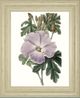 Classy Living Edwards Lavender Beauties I Wall Art-0
