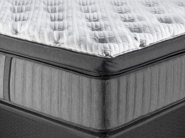 Spring Air® Back Supporter Penny 16.5" Hybrid Plush Box Top Twin XL Mattress-1