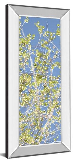 Classy Art Spring Poplars II by Sharon Chandler Wall Art-1