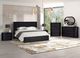 Furniture of America® Hildesheim Black 2 Drawer Nightstand-1