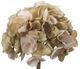 A & B Home Vintage Taupe Hydrangea Stem -1