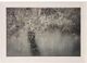 StyleCraft Fruit Tree Gray/Off-White Wall Art-0