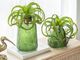 A & B Home Dark Green Faux Spider Plant-2