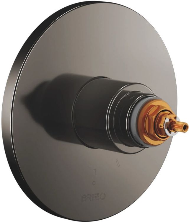 Brizo Roccesco™ Brilliance® Black Onyx TempAssure® Thermostatic Valve Only Trim-0