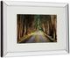 Classy Living Michael Tunnel And Mossy Oak Native Living Tree Tunnel Wall Art-3