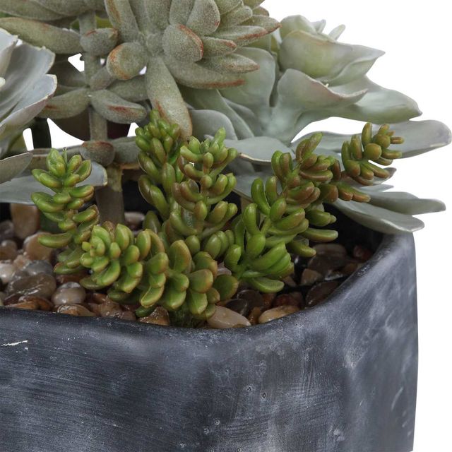 Uttermost® Alverio Charcoal Gray/Green Succulents-3