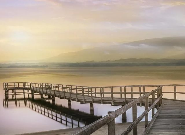 Classy Art Morning on the Lake by Mike Calascibetta Wall Art-1