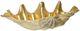 Stylecraft Norman Wyatt Home Gold/Natural Clam Bowl-1