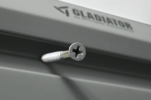 Gladiator® Pack of 32 Smoke colour-Matched Screws-1