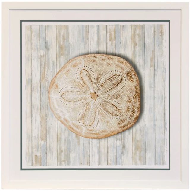Stylecraft Seashells lll Framed Print-0