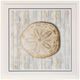 Stylecraft Seashells lll Framed Print-0