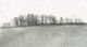 Stylecraft Distant Trees Black/Gray Wall Art-1