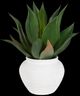 Uttermost® Tierra Agave Green/White Centerpiece with Vase-0