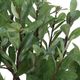 Uttermost® Arbor Aged Ivory Strawberry Tree-4
