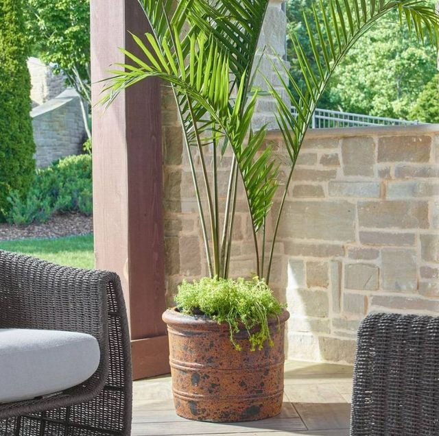 Uttermost® Weathered Relic Rust Black Concrete Indoor-Outdoor Planter-1