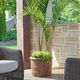 Uttermost® Weathered Relic Rust Black Concrete Indoor-Outdoor Planter-1
