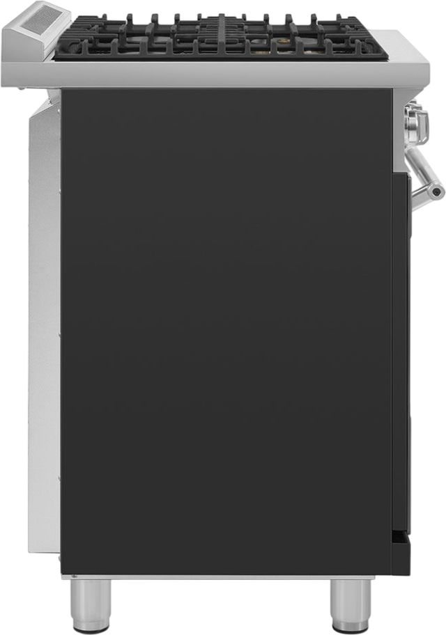 Smeg Professional 30" Stainless Steel Pro Style Gas Range-1