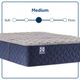 Sealy® Garden Hills 14.5" Gel Memory Foam Medium Tight Top Twin XL Mattress-4
