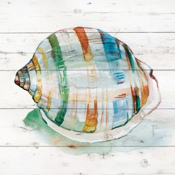 Classy Art Tye Dyed Shell I by Carol Robinson Wall Art-0
