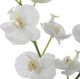 Uttermost® Glory White Orchid-2