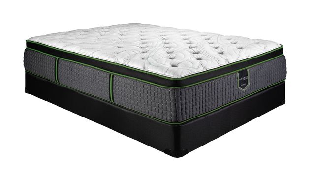 Spring Air® Kettering Hybrid Back Supporter™ 14.5" Plush Euro Top Queen Mattress-0