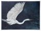 StyleCraft Norman Wyatt Jr Night Flying Wall Art-0