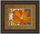Classy Living Amber Blossom Wall Art-0