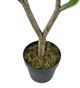 A & B Home Green 43" Polyscias Fruticosa Tree in Pot-3