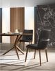 VIG Furniture Modrest Utah 2-Piece Brown/Walnut Dining Chair Set-1