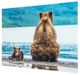YHD By the Riverbank Wall Art-2
