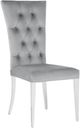 Coaster® Kerwin 2-Piece Grey/Chrome Upholstered Side Chairs-0