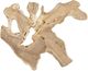 Uttermost® Terrains Natural Wall Decor-4