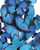 Currey & Company Rue de Bac Blue Large Butterflies-4