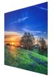 YHD Bluebonnets Wall Art-1