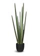 Le Present Sanseveria Green 47" Faux Botanical Cylindrica-0