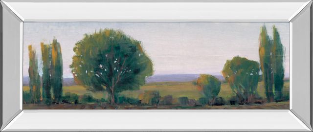 Classy Living Tim Otoole Panoramic Treeline I Mirror Framed Wall Art-0