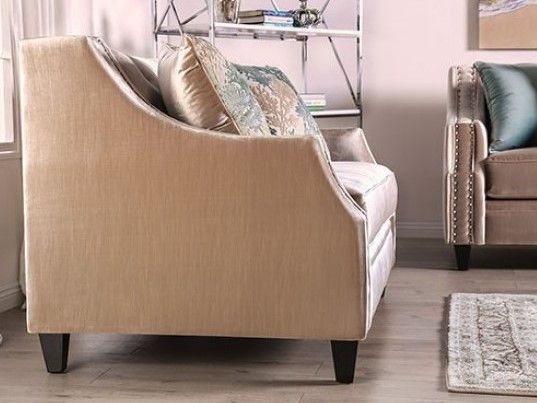 Furniture of America® Elicia 2-Piece Champagne Living Room Set-3