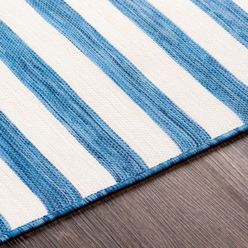 Surya Pasadena Denim 5'x8' Area Rug-4