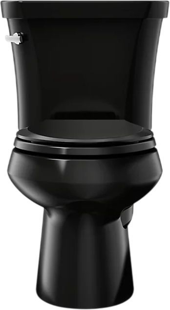 KOHLER® Wellworth® Black 2-Piece Elongated Toilet, 1.28 Gpf-1