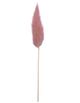 A & B Home Blush Dried Natural Bunny Tail Bundle-1