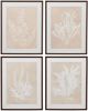 Bassett Mirror Gracilaria Multipartita Beige Framed Print-2