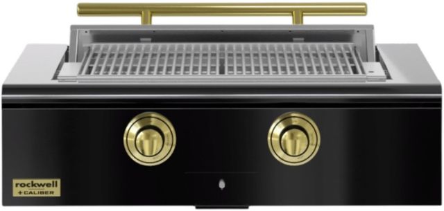 Caliber™ Rockwell 2-Burner Gloss Black Built-In Natural Gas Grill with Brass Hardware-0