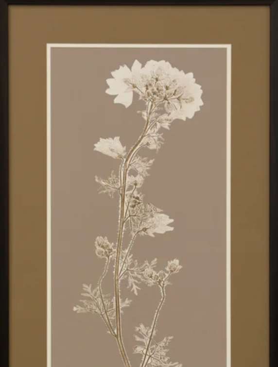 StyleCraft Natural Study Dark Brown/Taupe Wall Art-1