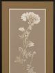 StyleCraft Natural Study Dark Brown/Taupe Wall Art-1