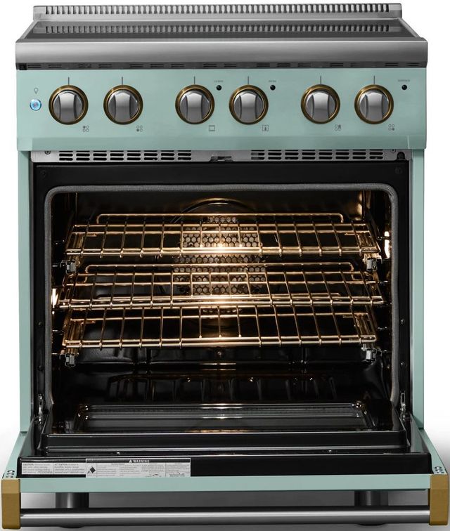 Viking® 5 Series 30" Splash Pro Style Electric Range with Brushed Brass Trim-1