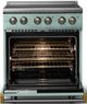 Viking® 5 Series 30" Splash Pro Style Electric Range with Brushed Brass Trim-1