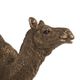 A & B Home Copper Camel-4